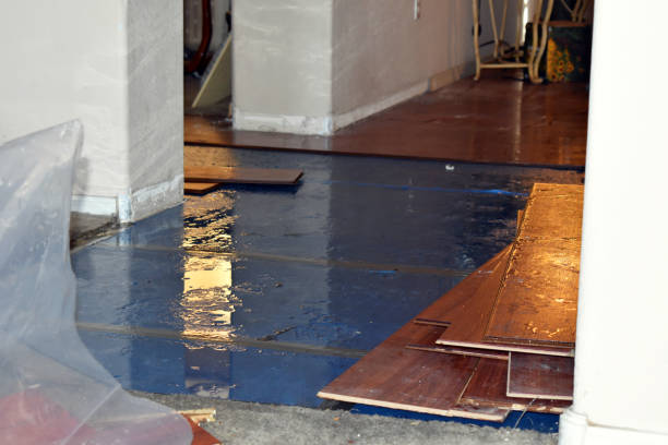 Professional Burst Pipe Water Damage technician working in Riverside, CT